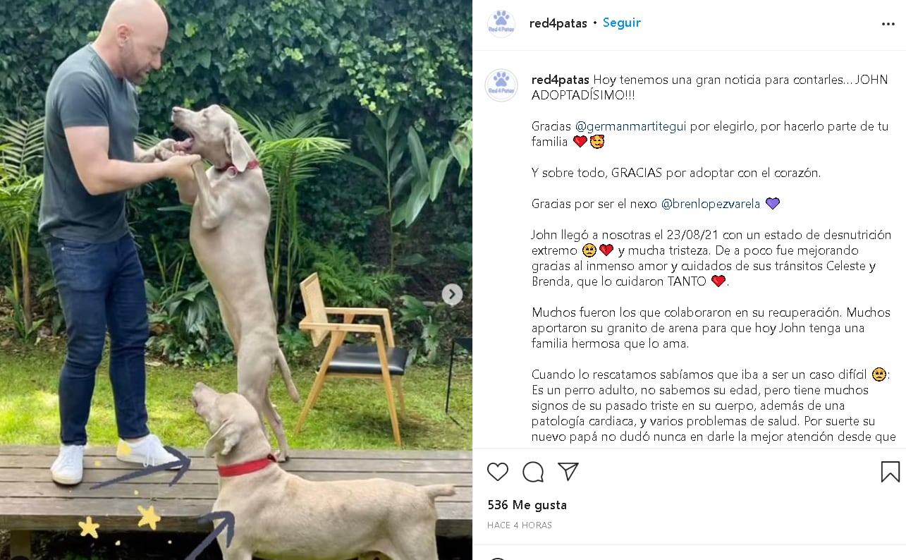 Germán Martitegui adoptó a un perro adulto llamado John.