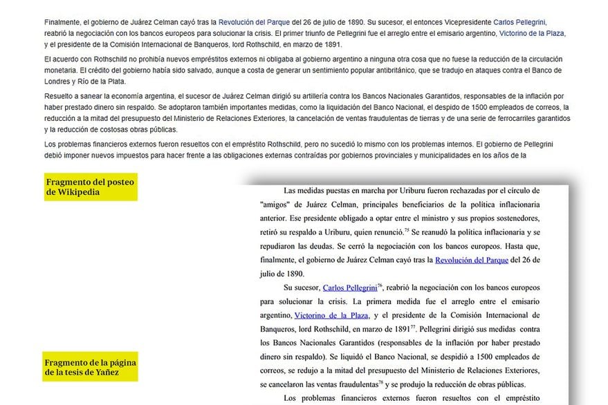 La Tesis de Yañez y las publicaciones en Wikipedia. Gentileza /La Nación.