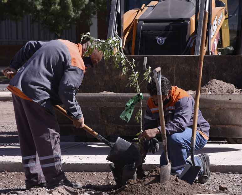 La comuna aprobó su Plan de Acción Climática en 2020
