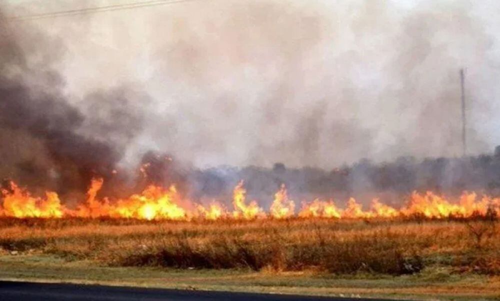 Incendios en el Parque Iberá.