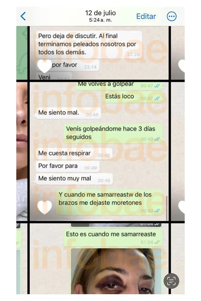 Los chats entre Alberto Fernández y Fabiola Yañez. (Infobae)