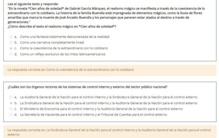 Algunas preguntas del simulacro del examen. Foto: Gentileza Clarín.