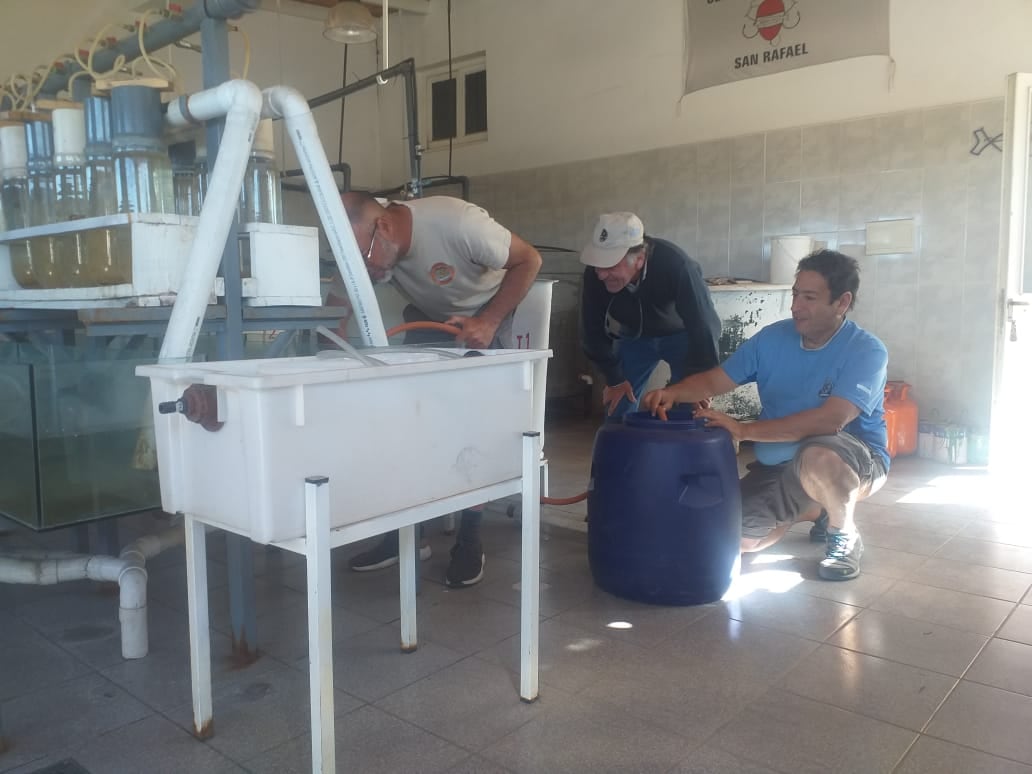 Aplican un plan conjunto para mejorar la calidad de pesca en el embalse El Carrizal