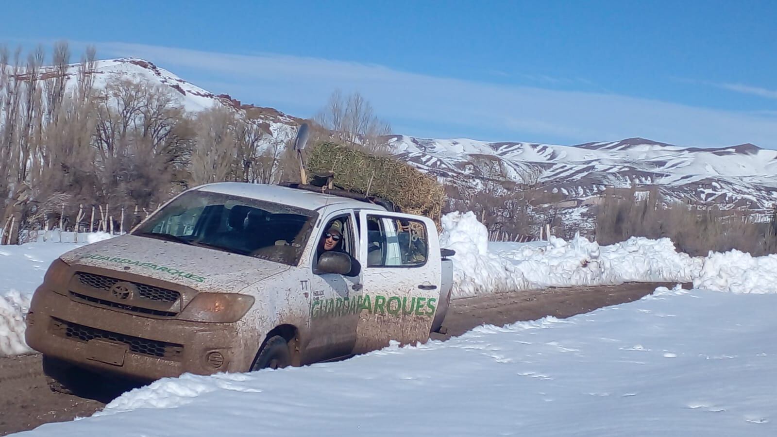 Guardaparques asistieron a familias aisladas por la nieve en el Sur. Foto: Dirección de Recusos Naturales Renovables.