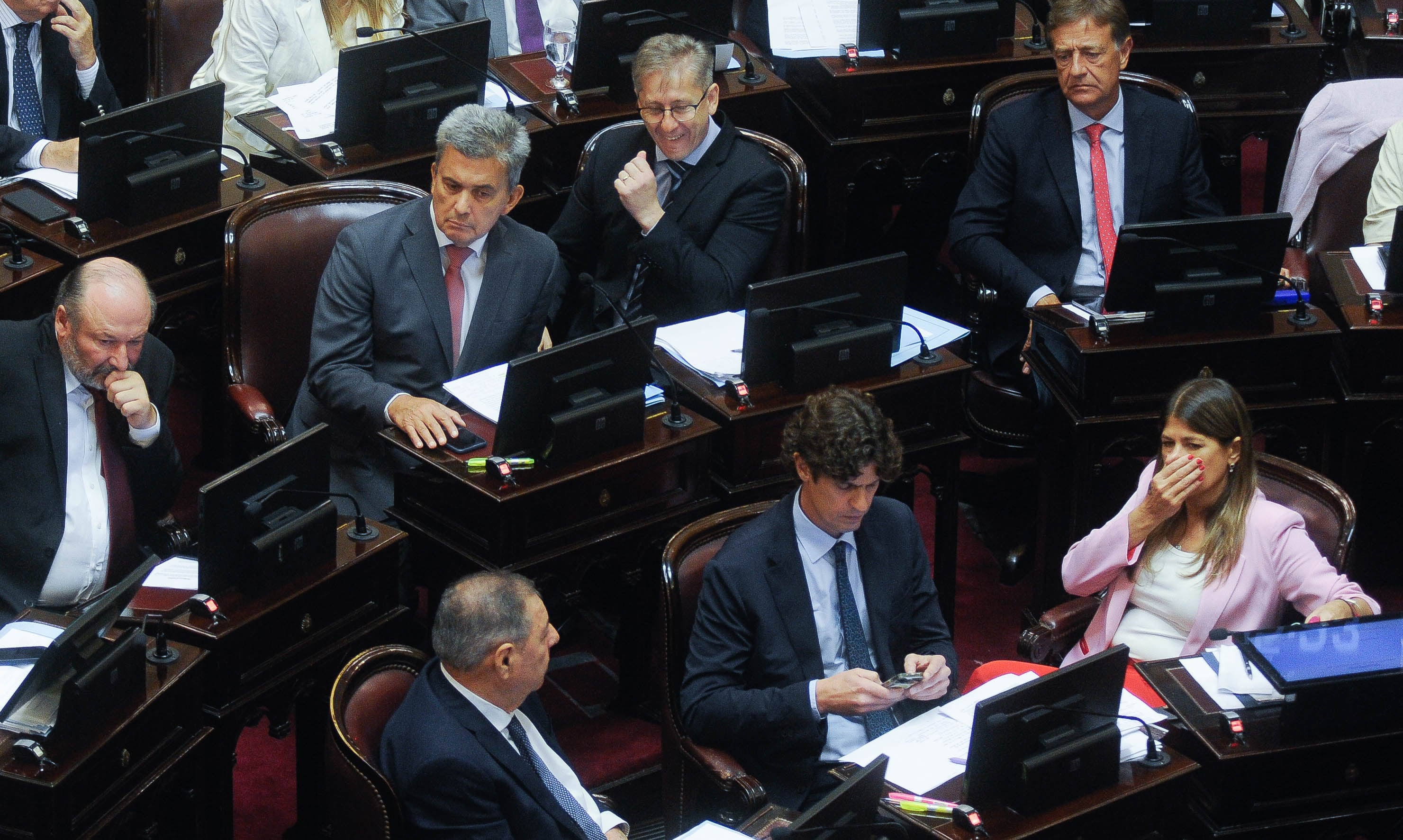 El bloque radical de la UCR votó a favor del DNU de Milei excepto Martín Lousteau, que votó en contra. Foto: Federico Lopez Claro