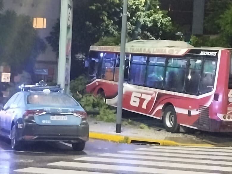 Uno de los colectivos quedó incrustado en el árbol de una plaza. Foto: SAME.