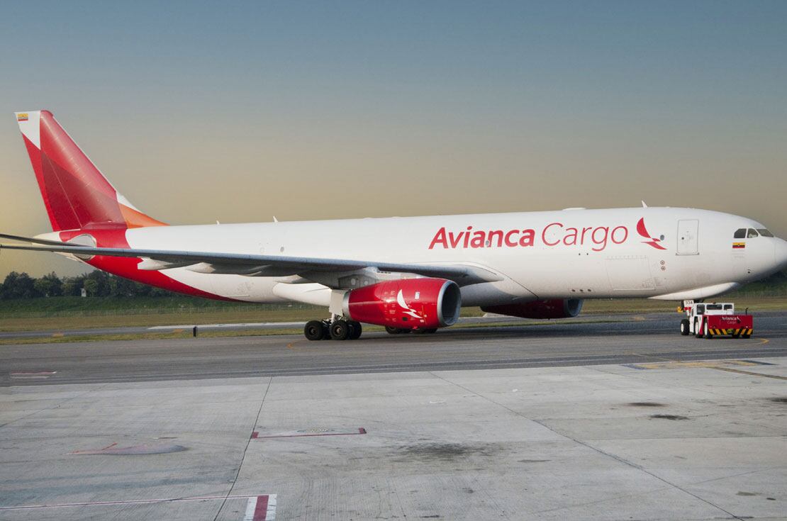 El niño de 7 años tenía boletos de la compañía Avianca y se dirigía a pasar las vacaciones de Semana Santa con sus tíos. 