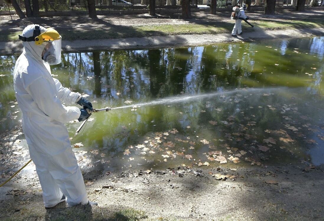 Dengue en Mendoza. | Foto: Orlando Pelichotti / Los Andes