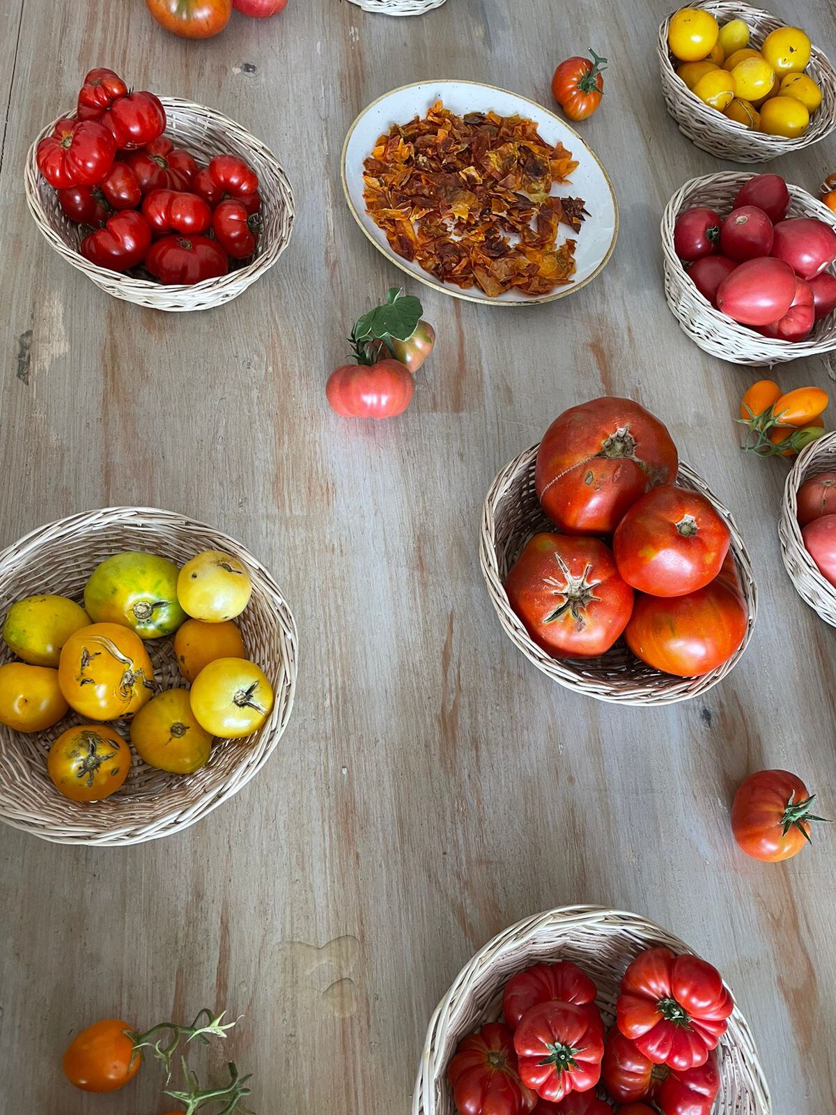 Mendoza es la principal productora de tomates del país. - Los Andes