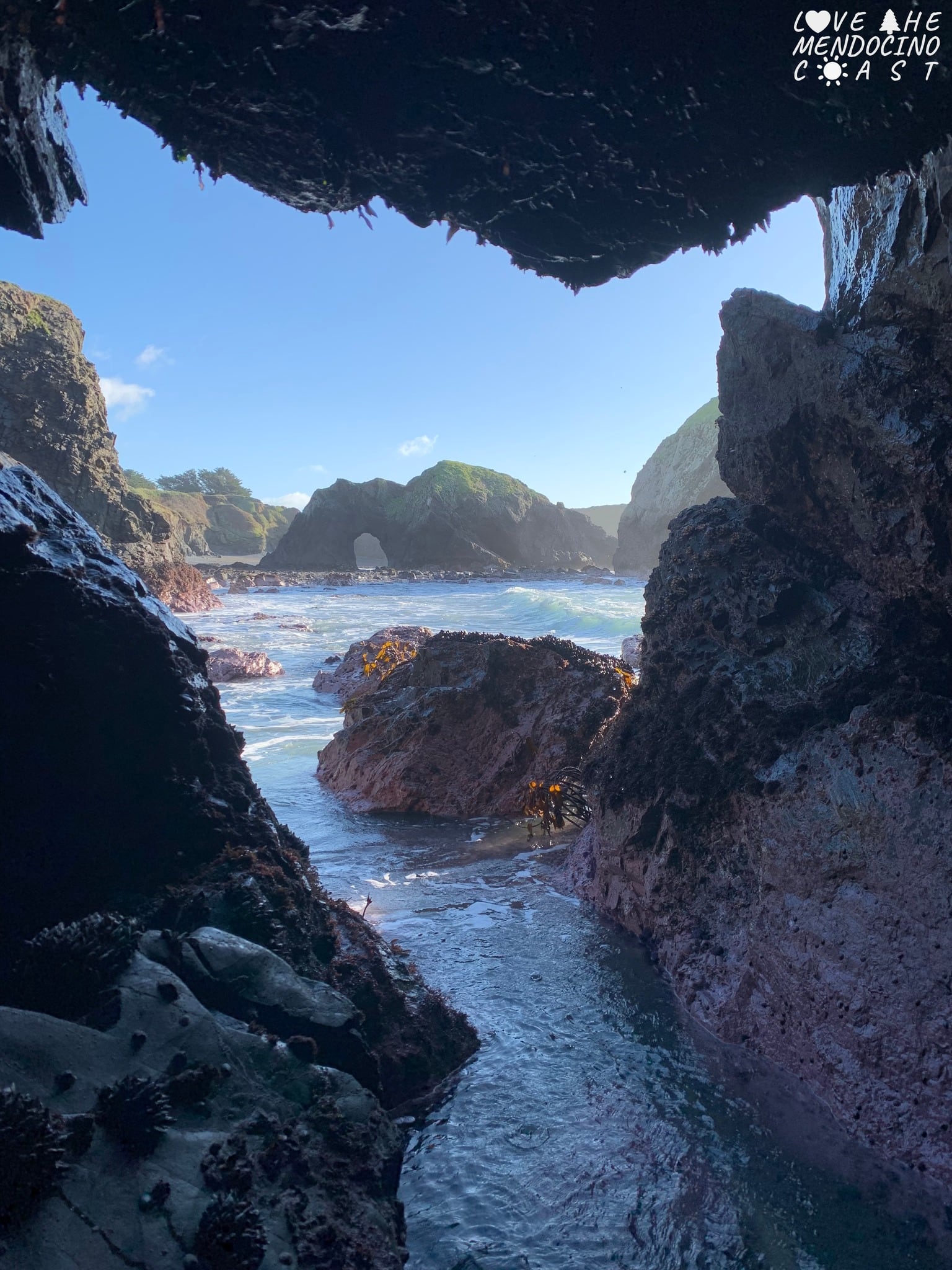 El lugar más “Mendocino” de California: un paraíso colonial oculto de bosques, naturaleza, ríos y mar azul. Foto: Facebook Love the Mendocino Coast