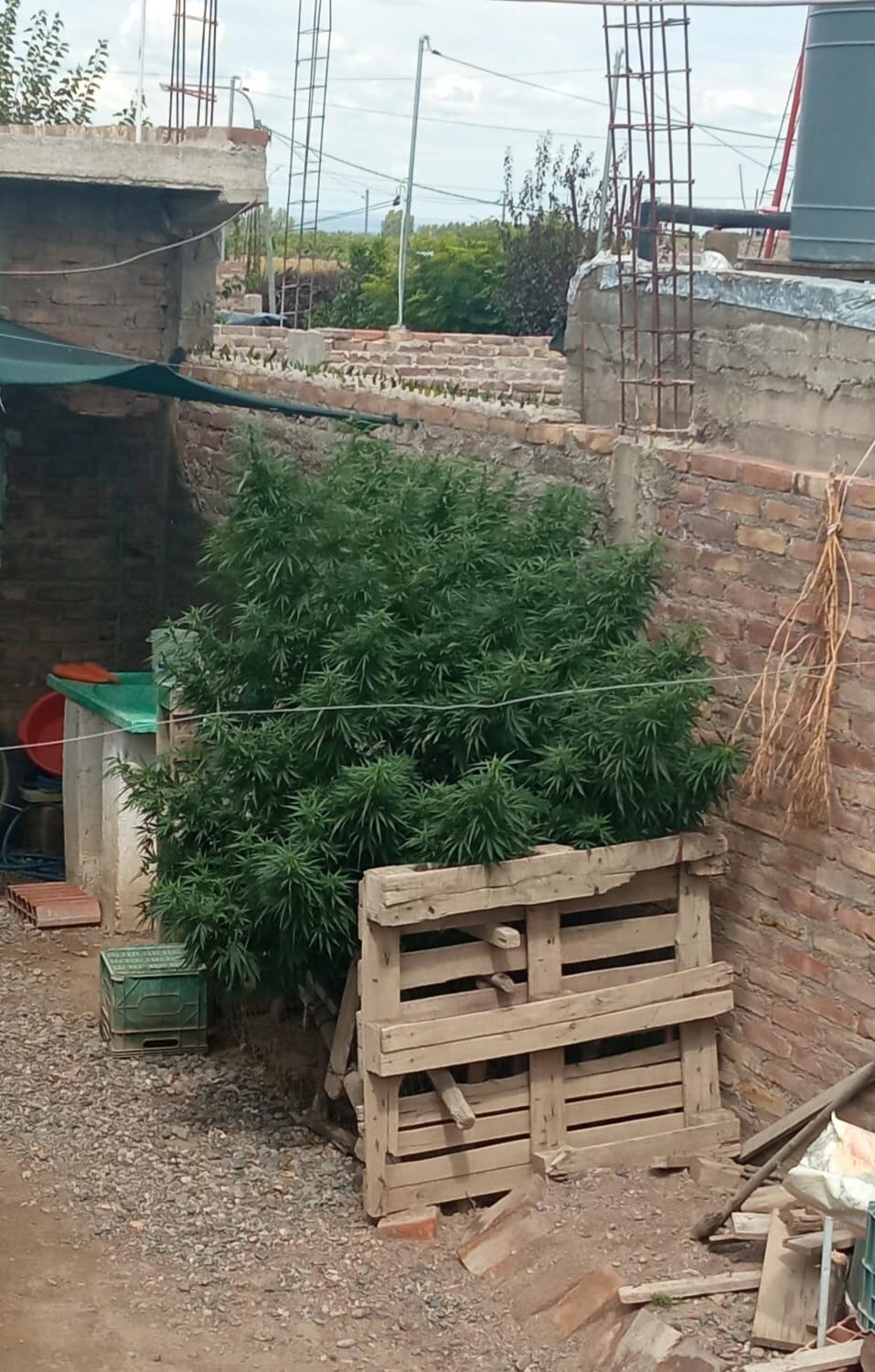 Secuestros de drogas en Valle de Uco y San Rafael