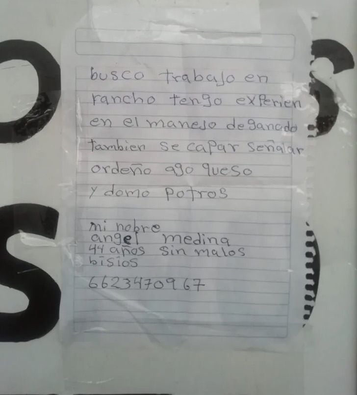 Un hombre hizo su CV de puño y letra y recibió casi 30 ofertas laborales.