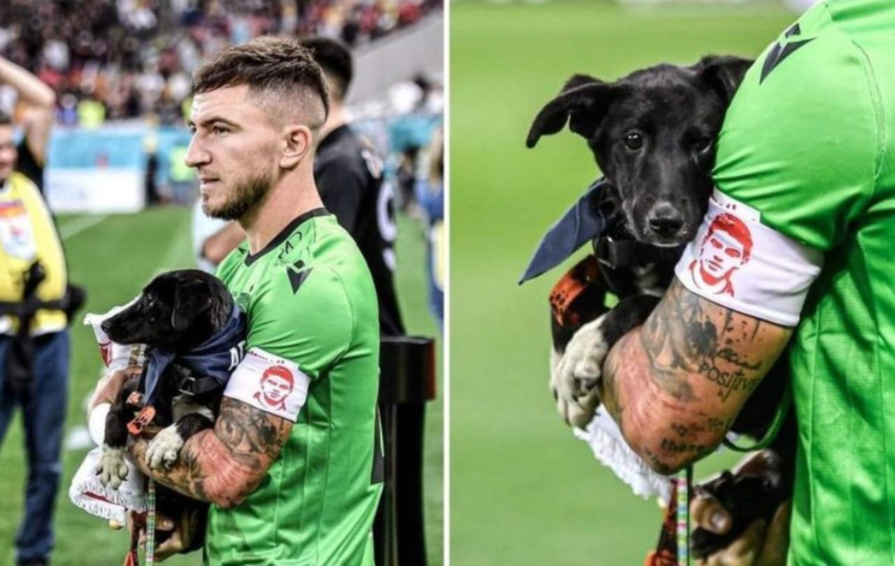 En Rumania promocionan la adopción de perros de la calle, a través del fútbol.