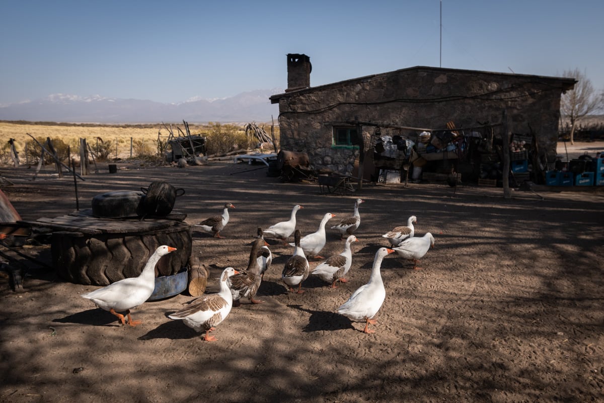 Foto: Ignacio Blanco / Los Andes