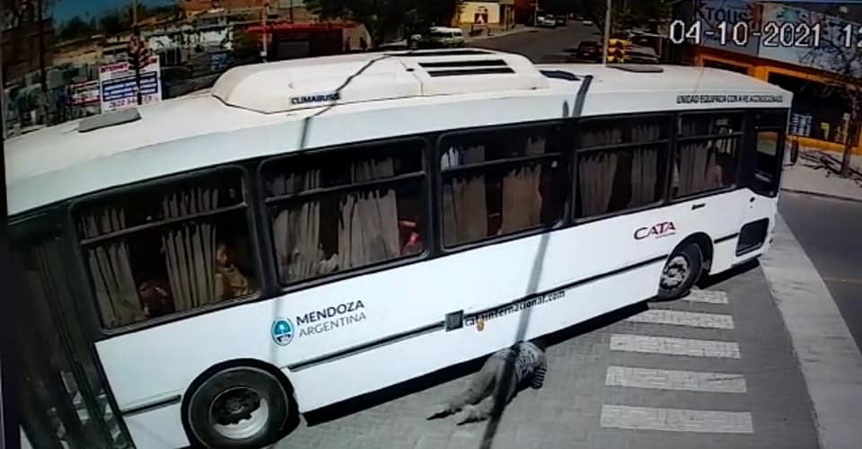 Un ciclista casi termina debajo de un colectivo en San Carlos. Foto DC San Carlos