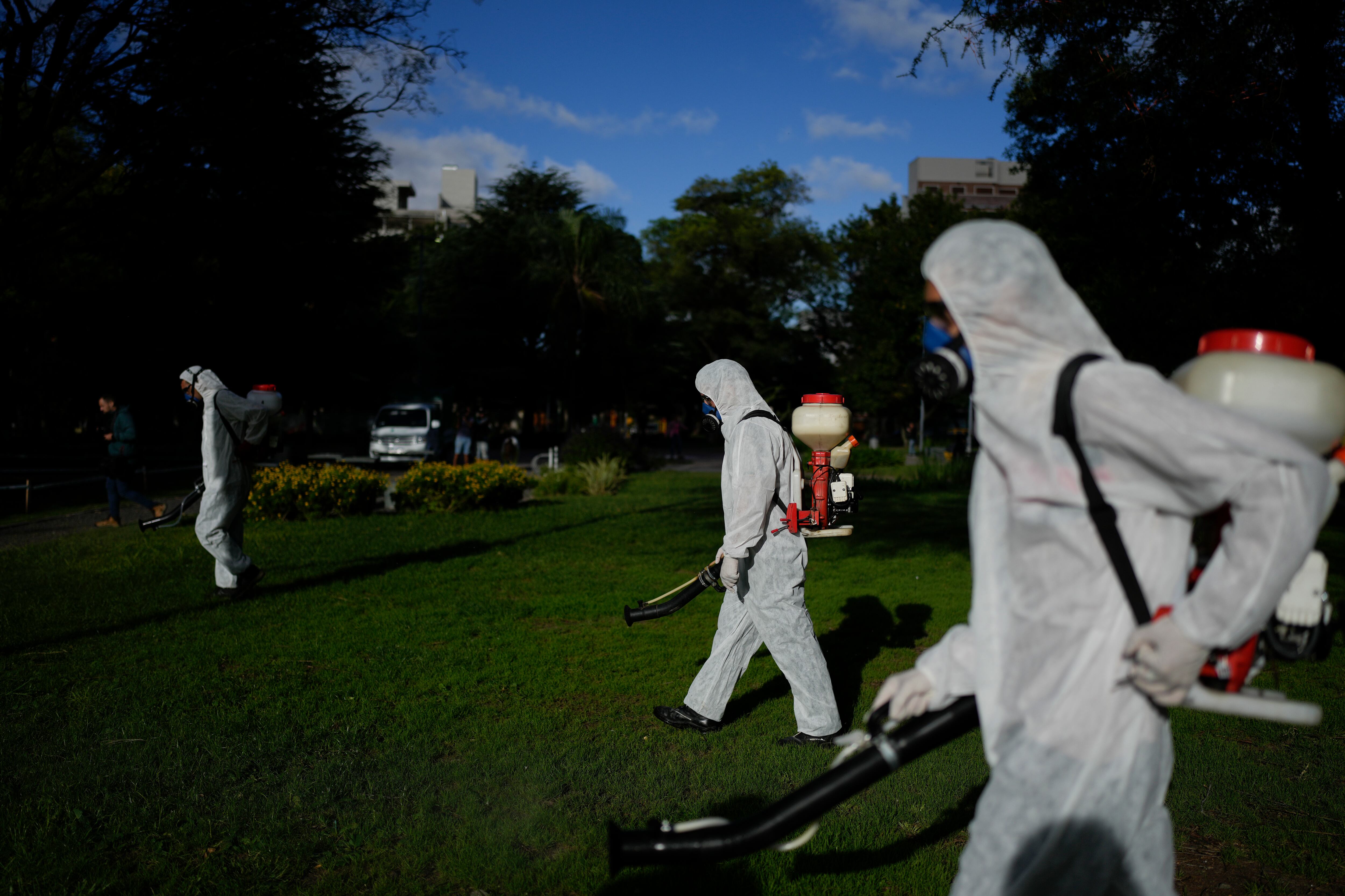 Brote de dengue: por que los especialistas advierten que la fumigación no es suficiente para combatirlo
 (AP Foto/Natacha Pisarenko)