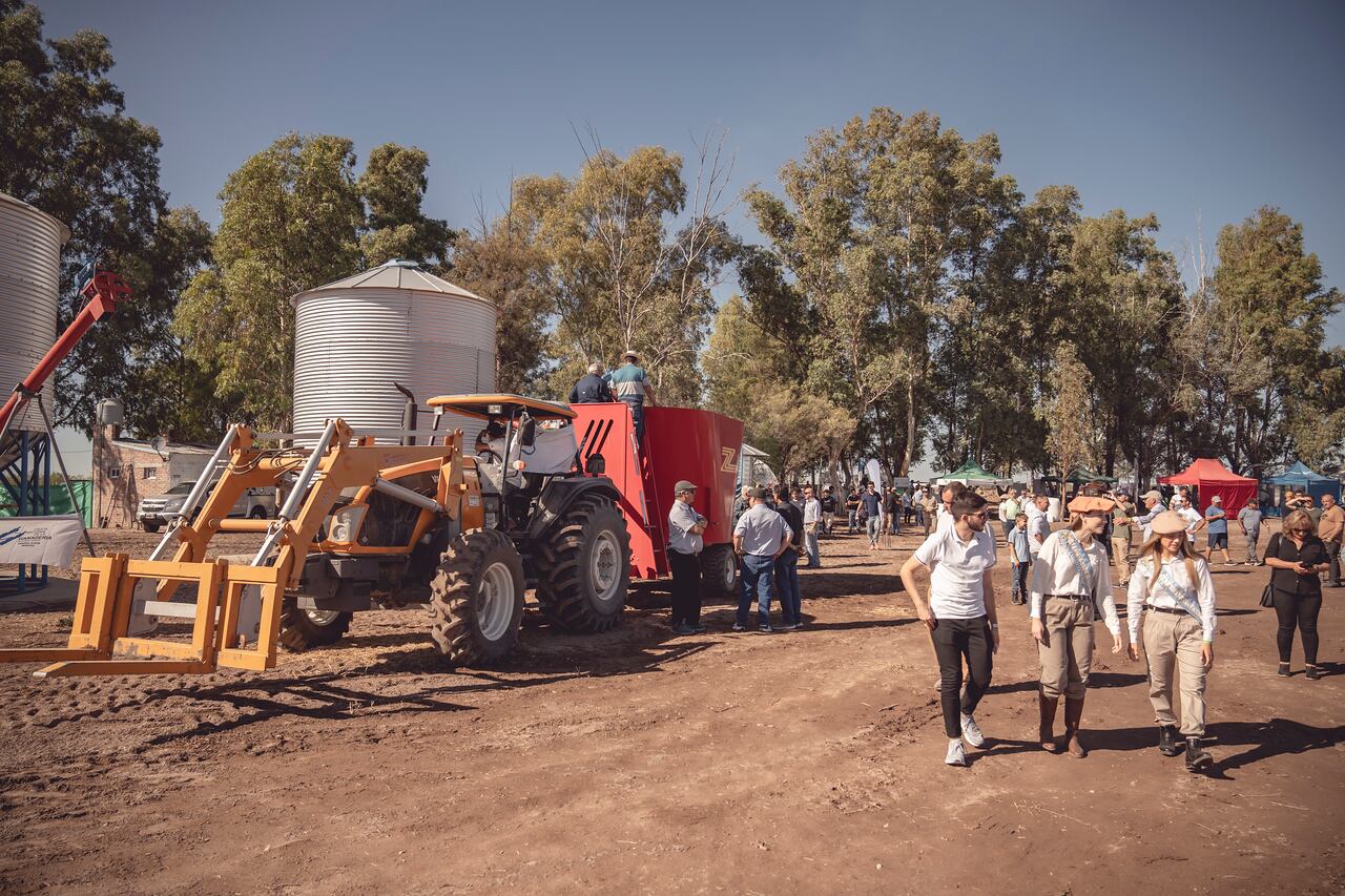 El equipamiento para almacenar y procesar el alimento de los animales.