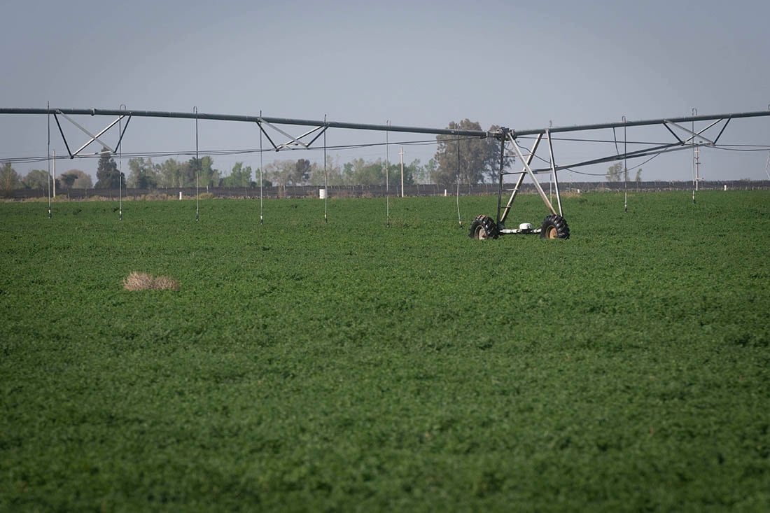 El Programa incluye líneas para eficiencia en el riego. Foto: Ignacio Blanco / Los Andes
