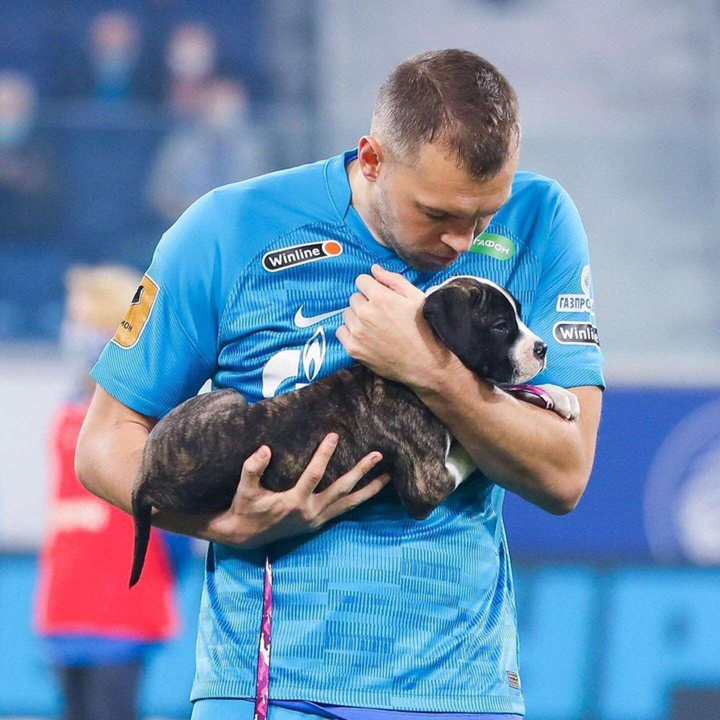 El gran gesto del Zenit con varios cachorros sin hogar.