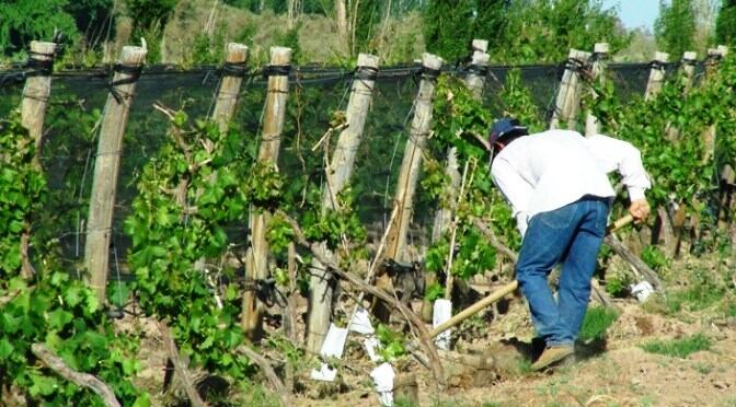 Prensa Gobierno de Mendoza.