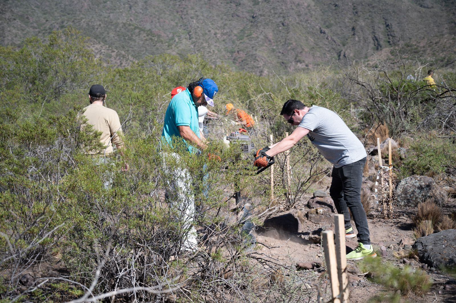 Se completó la restauración del cerro Arco por los incendios en 2018 y se plantaron unos 400 ejemplares de fauna nativa