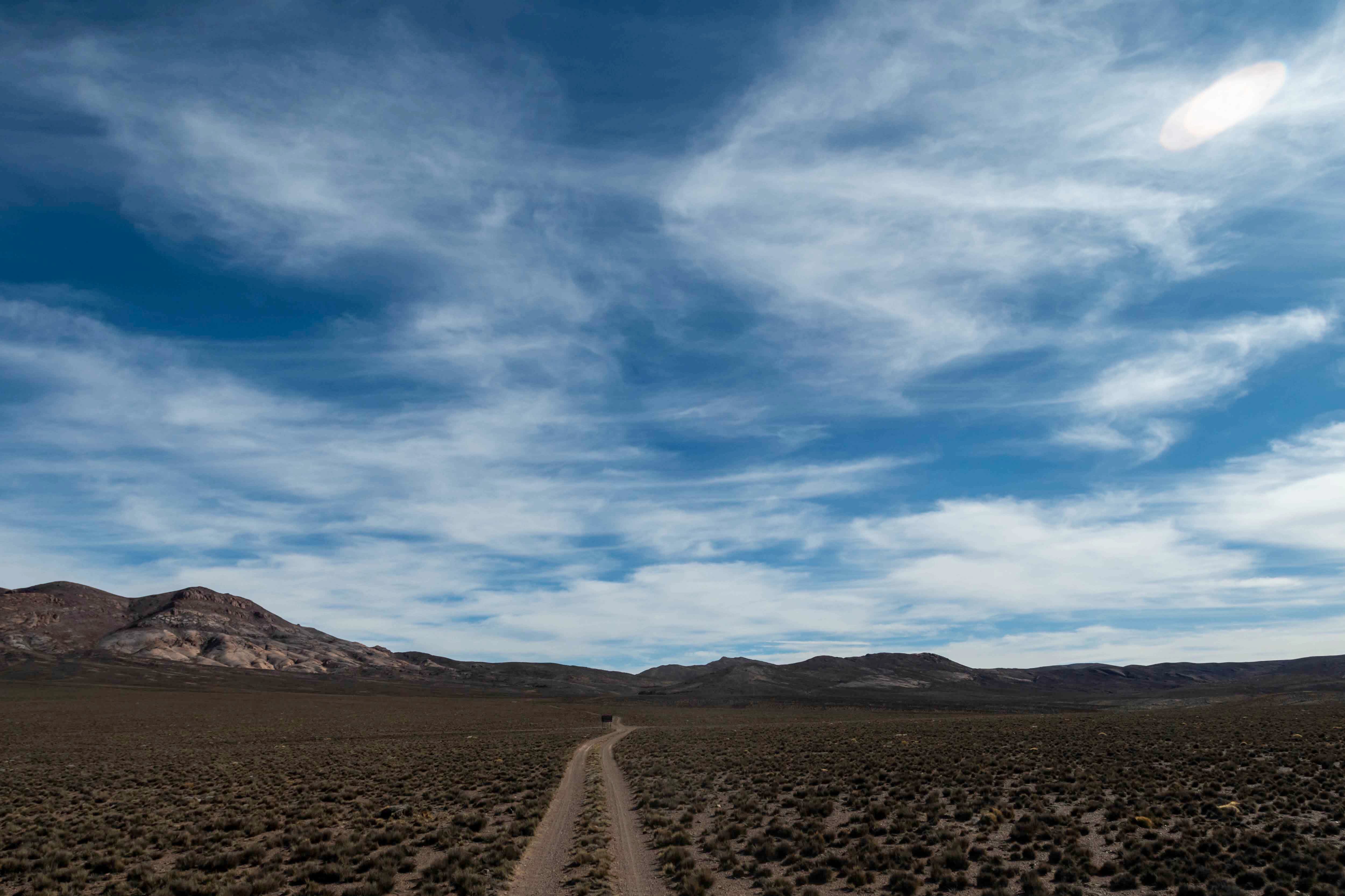 Mendoza 10 de junio de 2020 Sociedad, Reserva Natural Villavicencio, Pampa de Canota. 
El cuerpo de Guardaparques de la Reserva Natural Villavicencio realiza un atrabajo de conservacion y prevencion de la caceria ilegal. Gracias a este trabajo se comenzo a recuperar la poblacion de las destintas especies que habitan la montana mendocina.    

Foto: Ignacio Blanco / Los Andes
Zorro