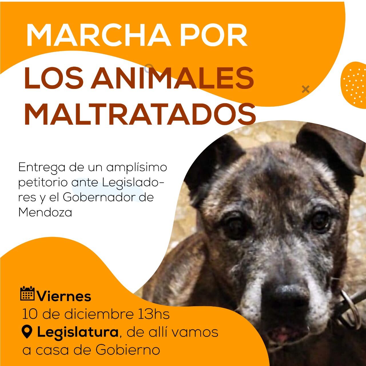 Convocatoria a la marcha el día 10 de diciembre, 13hs.