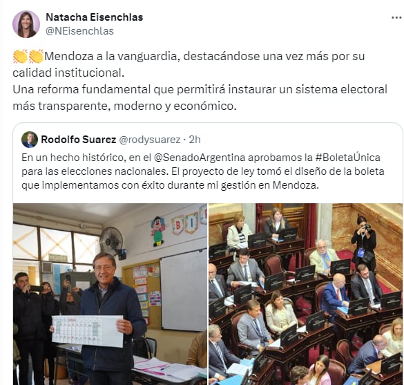 La senadora provincial Natacha Eisenchlas  festejó la sanción al proyecto para implementar la boleta única. Foto: X @NEisenchlas