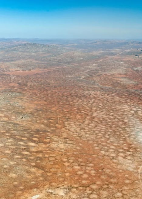 Desiertos en distintas partes del planeta manifiestan las mismas formaciones circulares en su superficie. Foto The Sun.