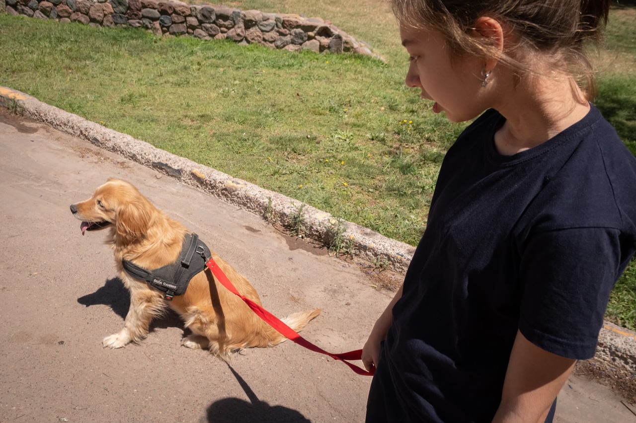 Dolphin y Alaska, los perros que le cambiaron la vida a dos estudiantes con discapacidad. Foto: Ignacio Blanco / Los Andes