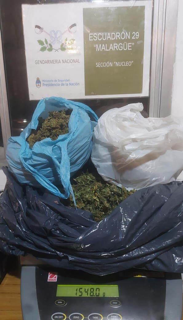 La marihuana decomisada por Gendarmería Nacional.