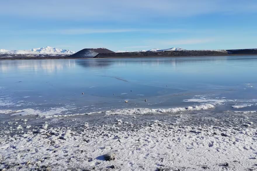 La laguna del Parque Nacional Laguna Blanca amaneció congelada. - Gentileza / Lmn