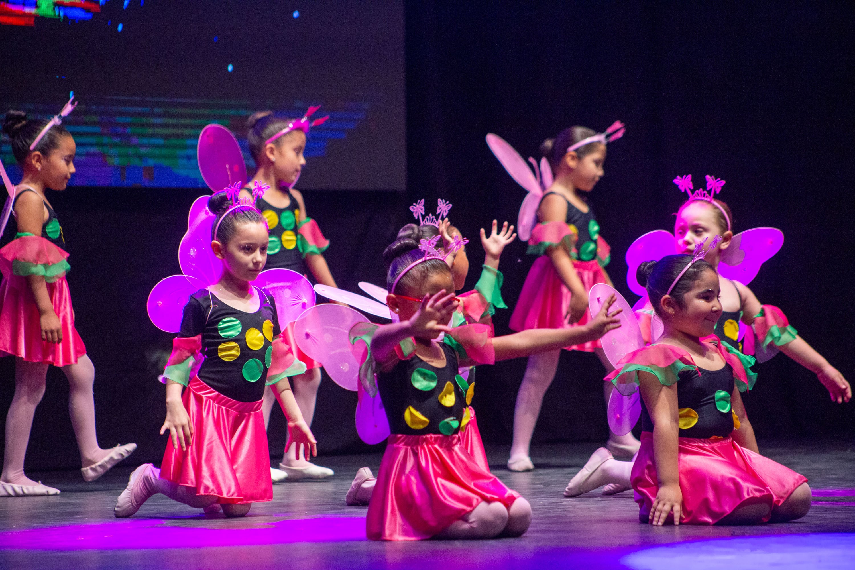 Escuela Municipal de Danzas Jesús Vera Arenas