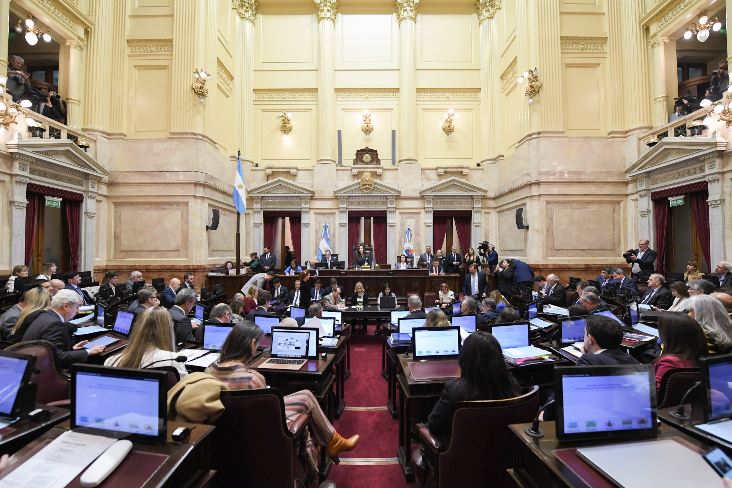 Sesión Pública Especial en el Senado de la Nación para tratar la Ley Bases. Foto NA:  SOFÍA ARECO / Comunicación