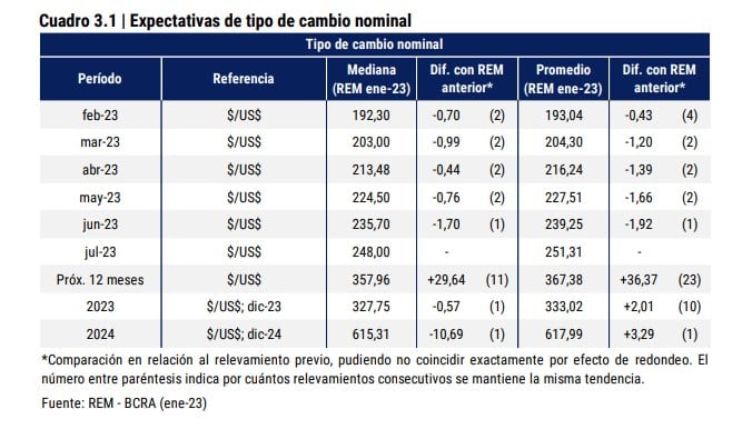 Proyecciones de los especialistas que participaron del Relevamiento de Expectativas de Mercado del Banco Central para el dólar mayorista (el estudio se realizó a fines de enero y se publicó a principios de febrero).