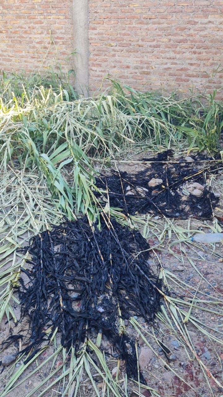 Un hombre resultó lesionado tras tatar manipular cables de media tensión en Luján de Cuyo. Foto: Prensa Seguridad Mendoza