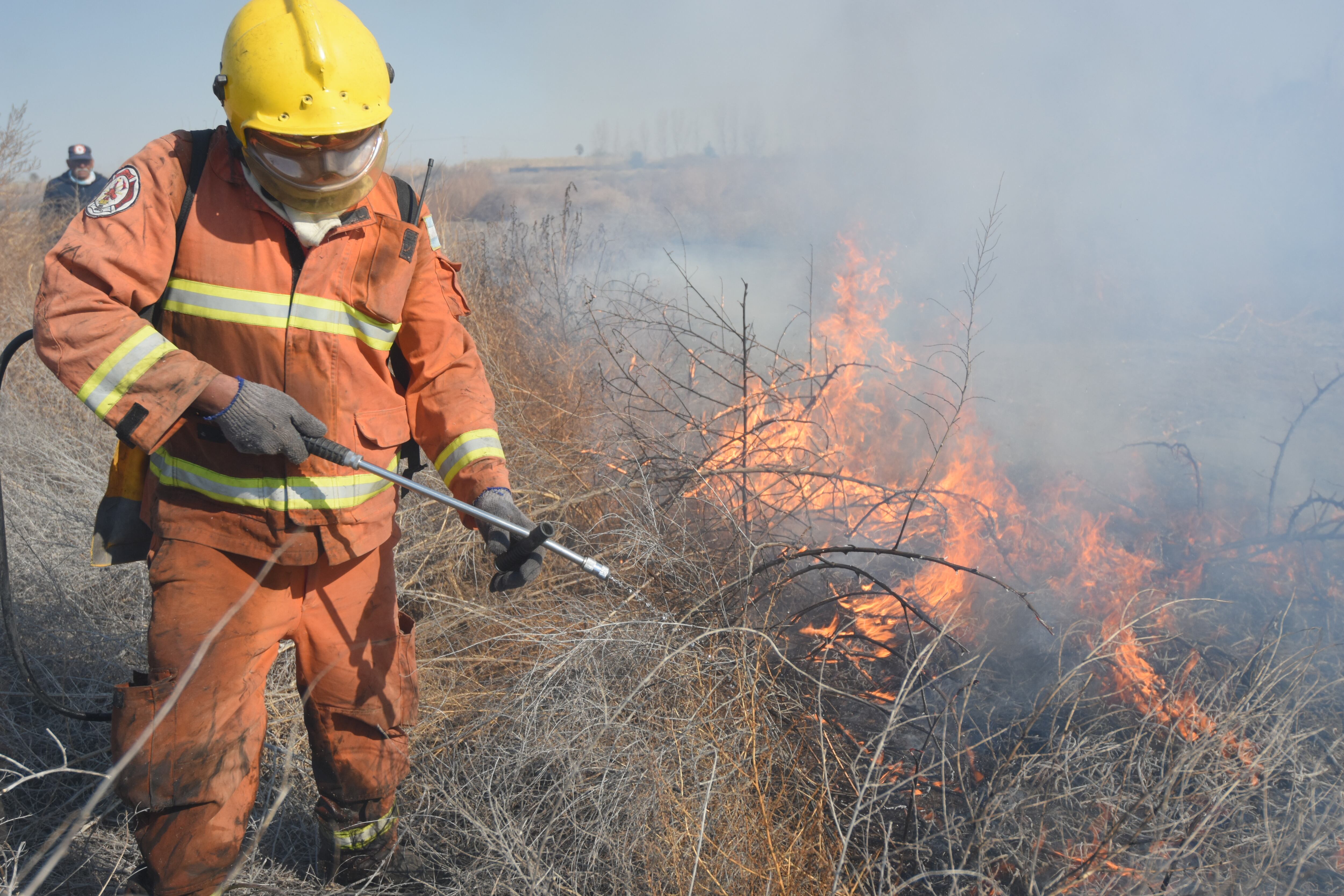 En la tarde de este lunes, se produjo un incendio en una zona de pastizales y cañaverales en Guaymallén.