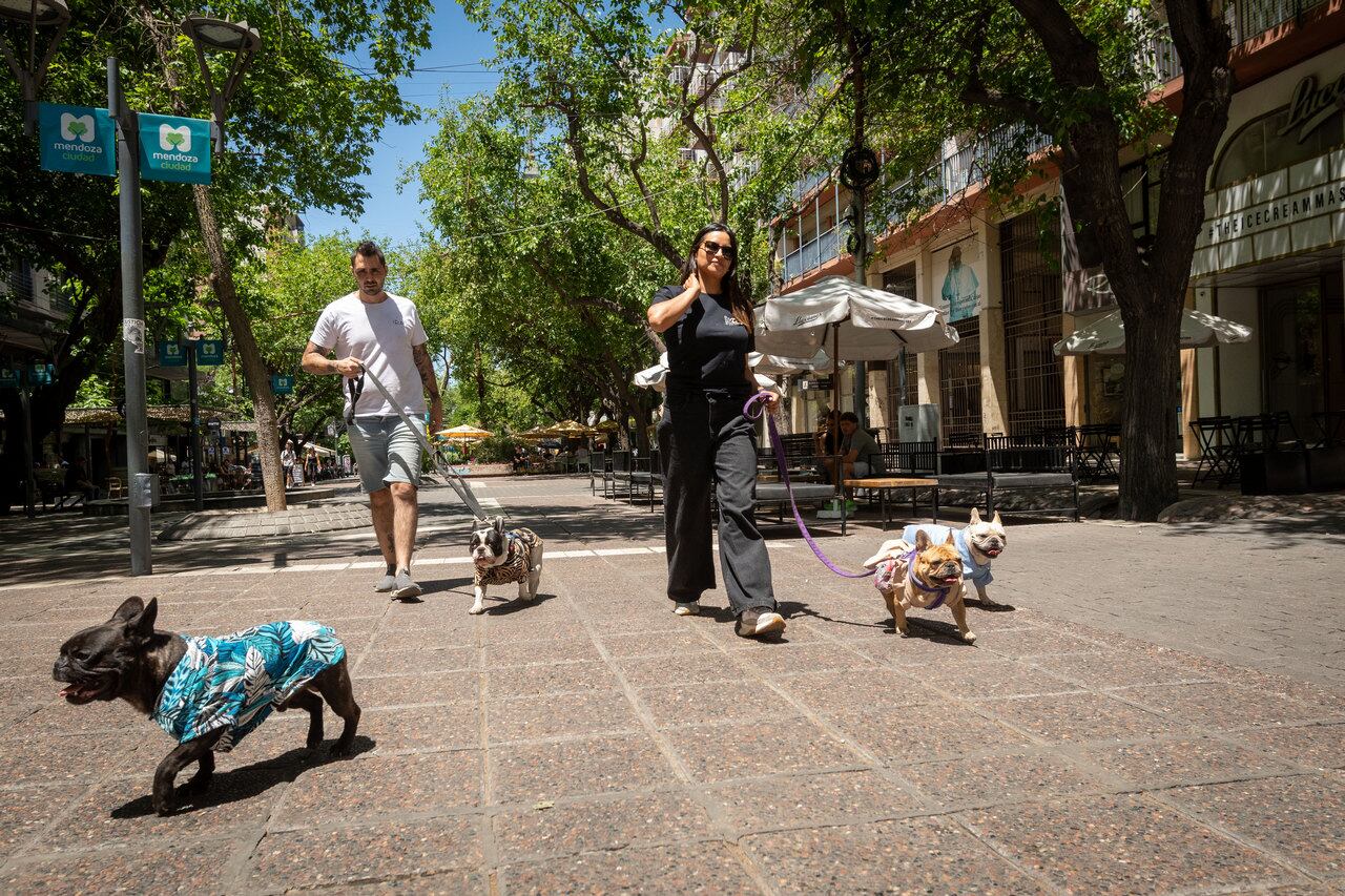 Alejandro Brzezicki  y Paola Díaz abrieron en 2020 “Russo & Co” para dar respuesta a quienes buscan diseños exclusivos. | Foto: Ignacio Blanco / Los Andes 