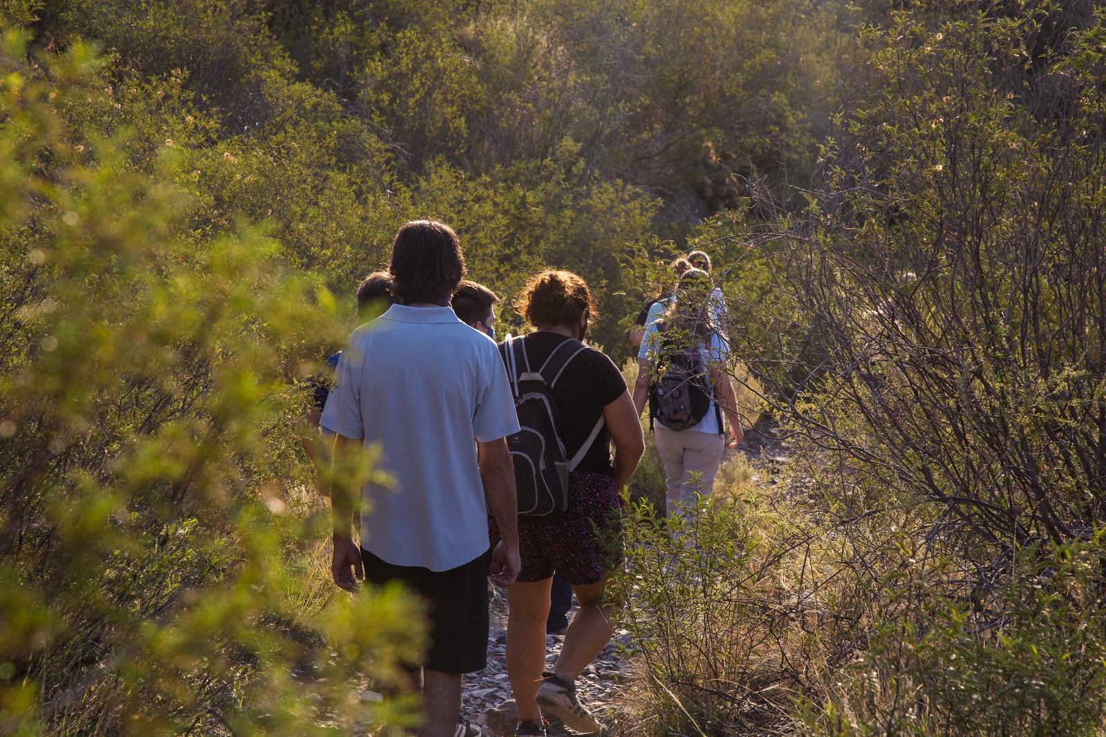 Finde XL: ¡Ciudad de Mendoza está lista para recibir a visitantes de todo el mundo!