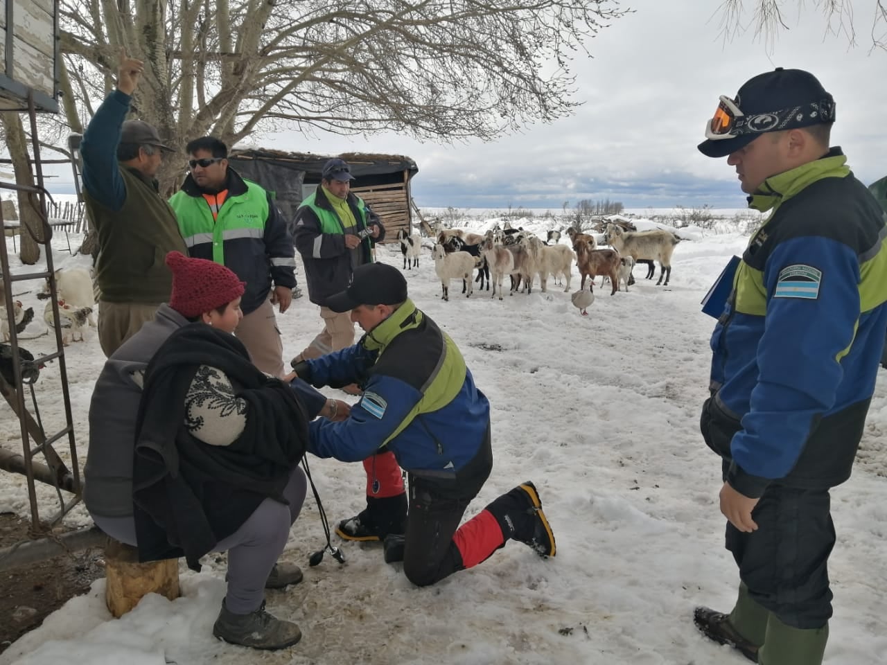 Nevadas en Malargüe - Foto Gendarmería Nacional