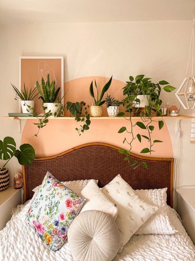 Plantas como decoración