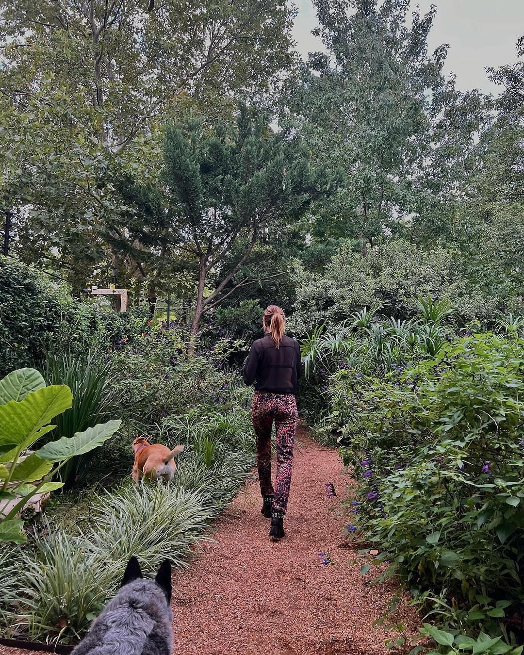 El impactante jardín de la casa de Vero Lozano. Gentileza Instagram.