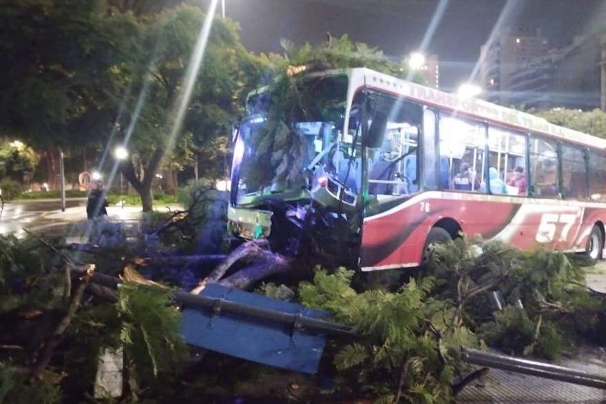 Uno de los colectivos quedó incrustado en el árbol de una plaza. Foto: SAME.