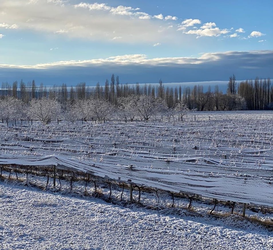 Tupungato amaneció cubierto de nieve y por el hielo en la calzada muchas rutas estuvieron cerradas varias horas.