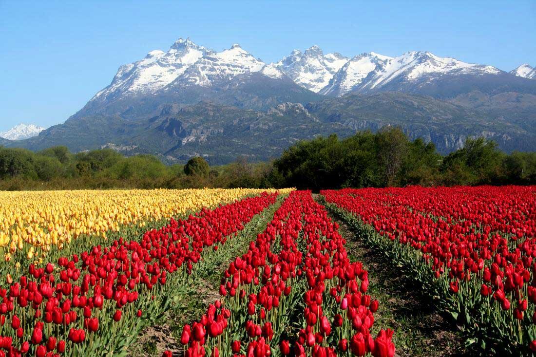 Trevelin, Chubut.