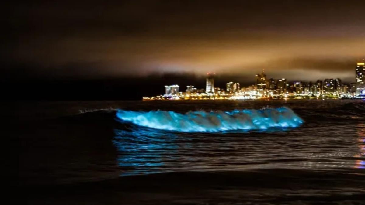 Olas de "luz celestial". Foto: La Gaceta