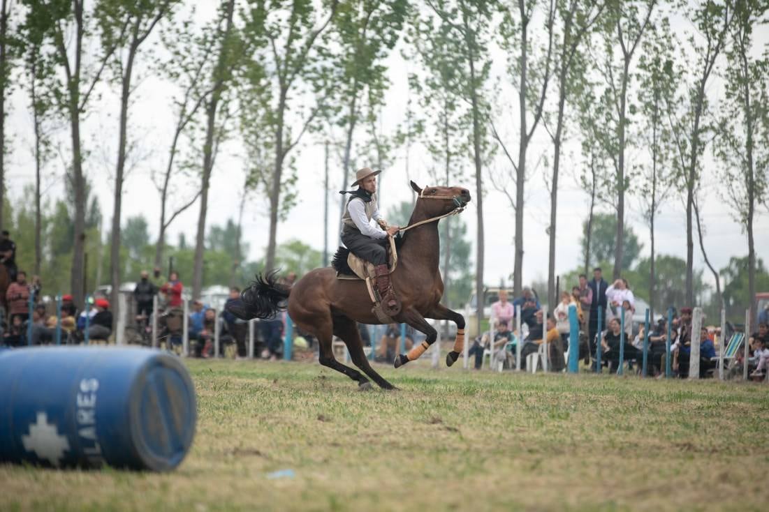 El domingo cerró la Fiesta de la Ganadería con destrezas criollas. 