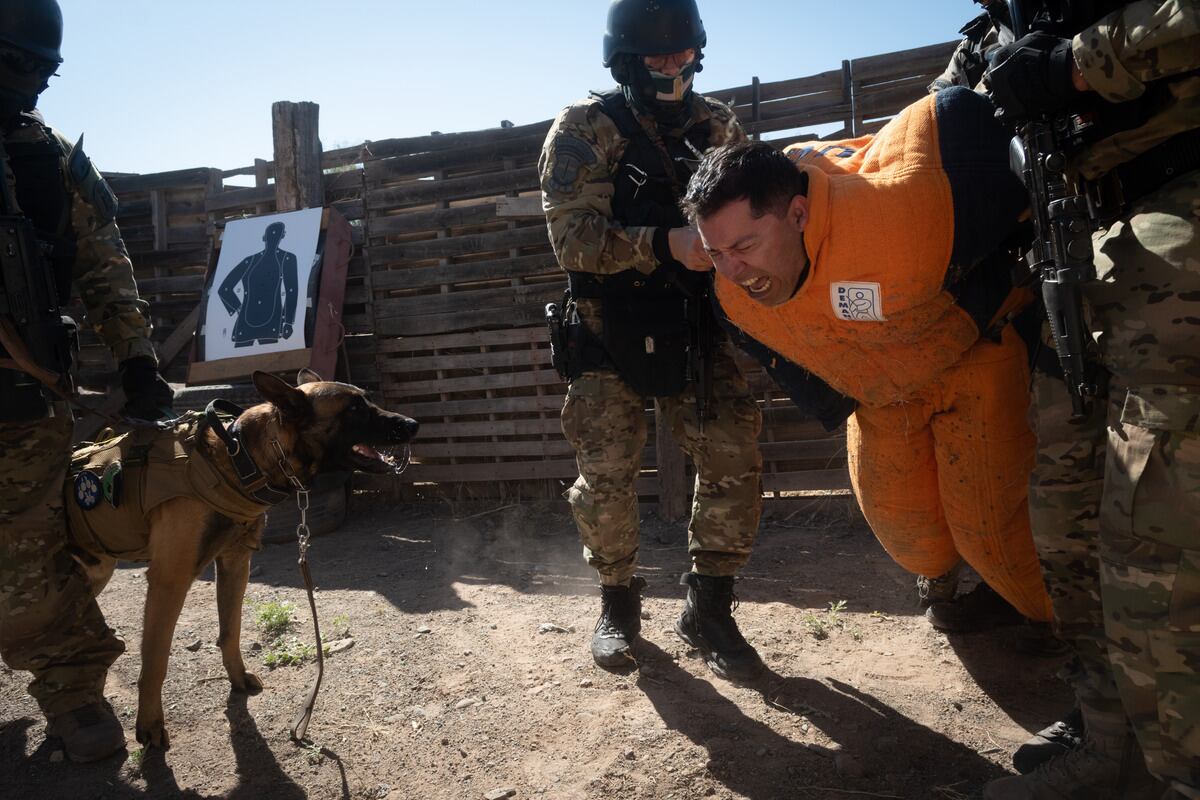 Sin necesidad de levantar la voz, aunque con firmeza, el perro obedece porque está debidamente adiestrado, de manera que a la hora de actuar es un operador más. El vínculo con sus guías es muy fuerte. Foto: Ignacio Blanco / Los Andes