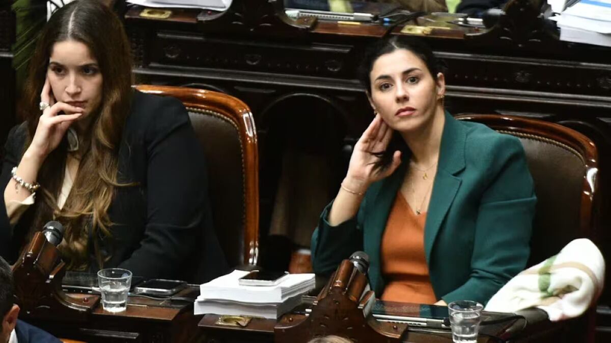 La diputada anunció su embarazo en redes sociales.