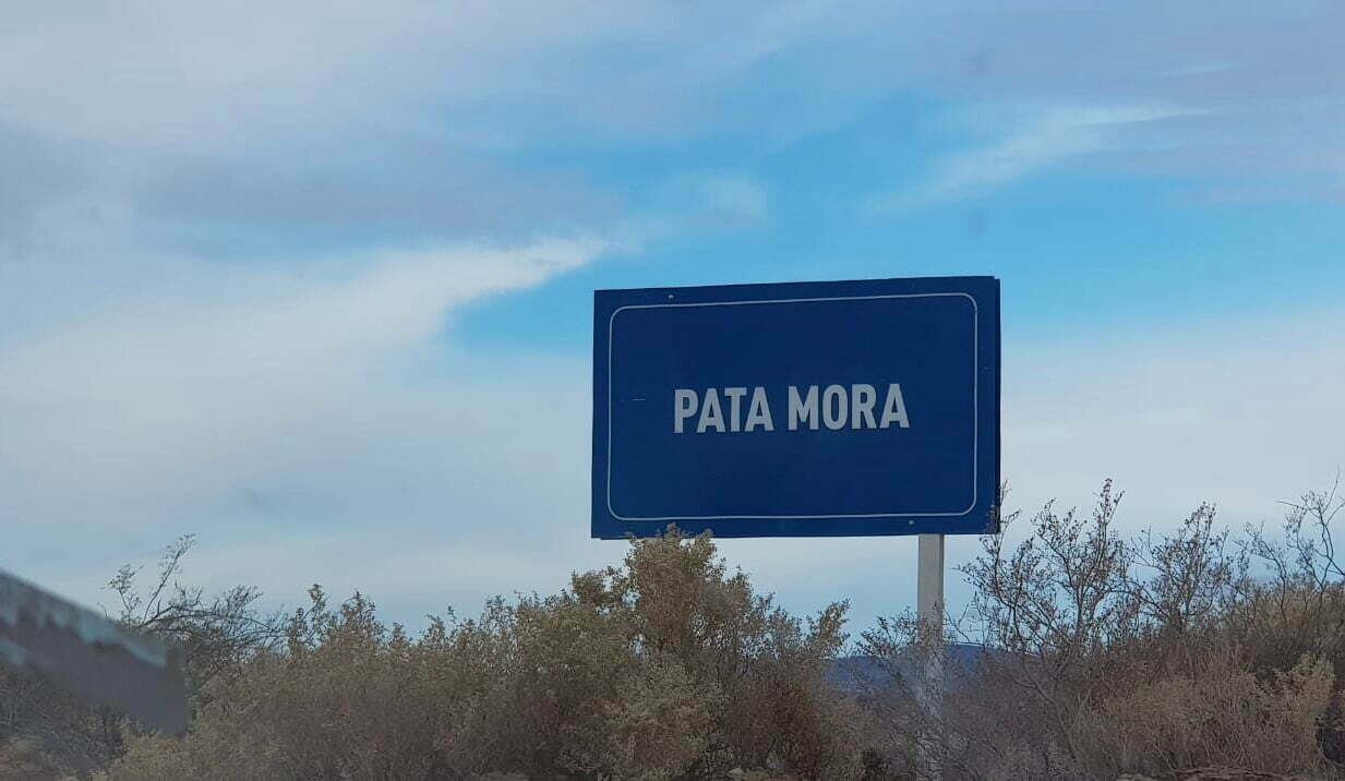 Pata Mora. Foto: Prensa Municipalidad de Malargüe